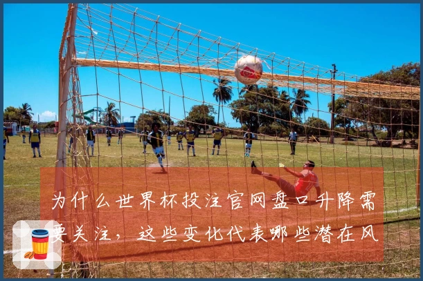 为什么世界杯投注官网盘口升降需要关注，这些变化代表哪些潜在风险